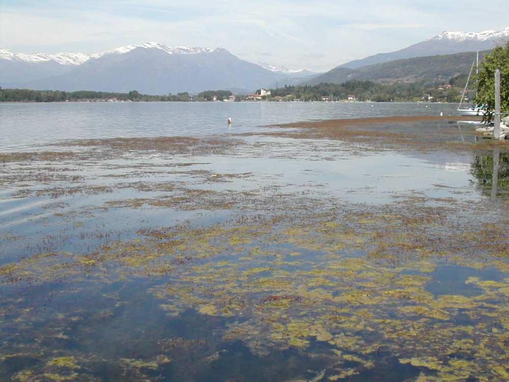 esempio: laghi (D.M.