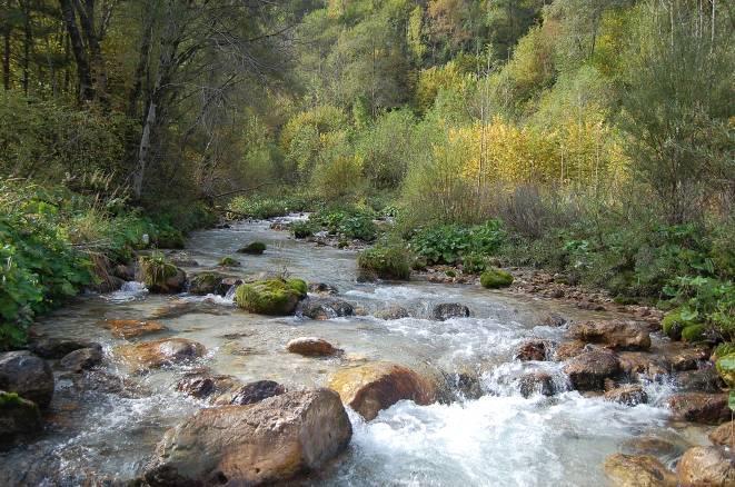 TUTELA DI AMBIENTI AD ELEVATO PREGIO NATURALISTICO La IV Commissione ha chiesto di aumentare la tutela di