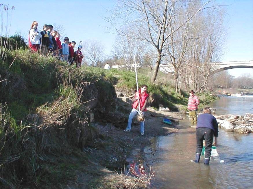 Comune di Pavia - CREA questo primo esperimento la partecipazione è stata di n. 18 classi per oltre 400 studenti di ogni ordine e grado.