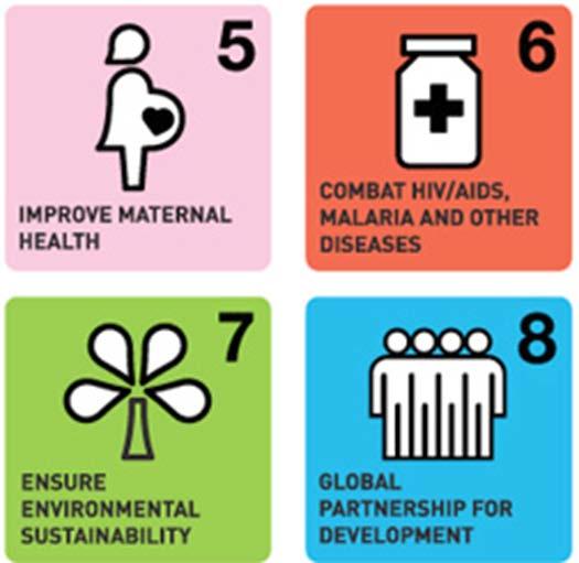 (MDGs) Goal 7: