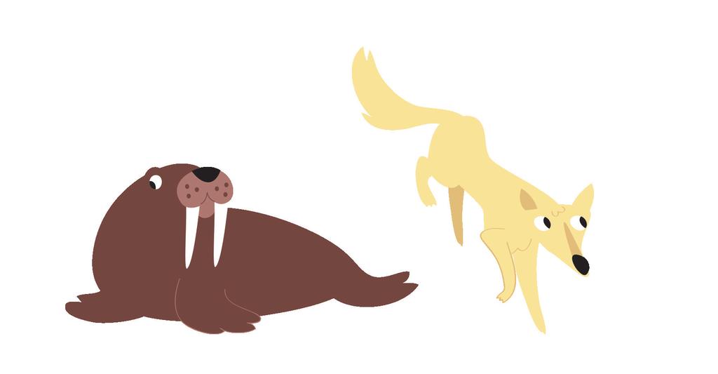 Tricheco È un animale baffuto e dalle lunghe zanne. I suoi baffi grigi sono come dei radar; ha la pelle rugosa di colore marrone e rosa.