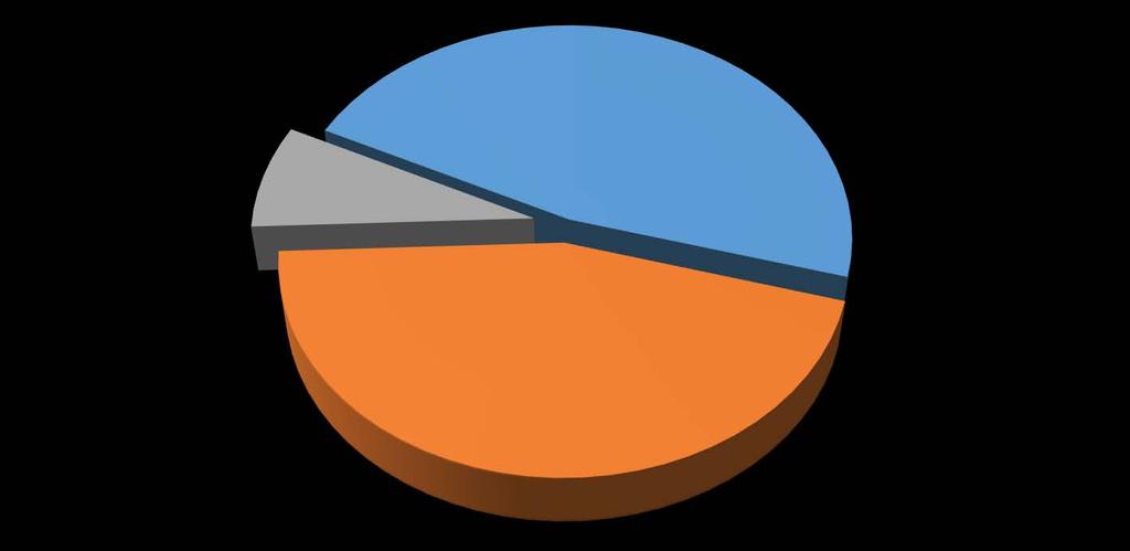 Cause di Morte: Si può notare dal diagramma a torta come la maggior parte dei caduti non cadesse in combattimento ma per ferite a esso dovute o per