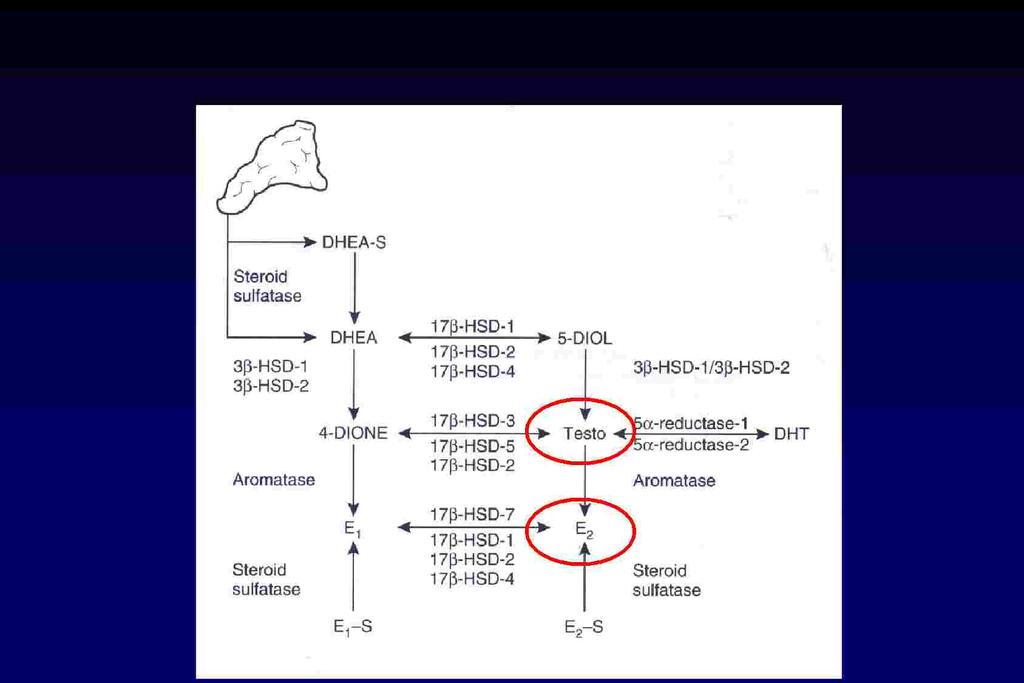 Trasformazioni biologiche