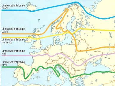 IL PAESAGGIO RURALE Agricoltura: portata in Europa nel IV millennio dal Medio Oriente. All'inizio si coltivavano: cereali + ceci e lenticchie + ulivo e allevamento. Poi: vite e piante da frutto.