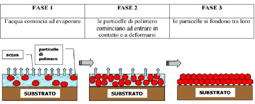 L essiccazione dei leganti in emulsione avviene con un meccanismo, conosciuto come COALESCENZA: La fase 2 si definisce di coalescenza, in questo stadio la formulazione del P.V.