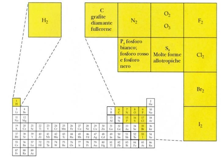 Forma «atomica» o «molecolare»? Es.