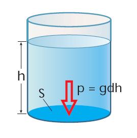 La pressione della forza peso nei liquidi La densità del liquido è il rapporto tra la sua massa ed il suo volume: gdh è la