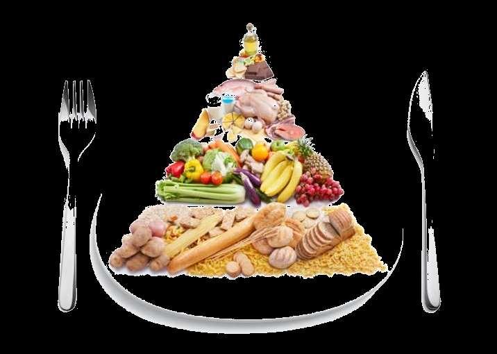 Generalità degli alimenti Sono dei prodotti di cui l uomo fa uso per la sua nutrizione.