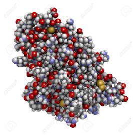 Molecola di EPO Tabella categorie pugilato Eritropoietina Spesso abbreviata in EPO, è un ormone glicoproteico che controlla la produzione di globuli rossi.