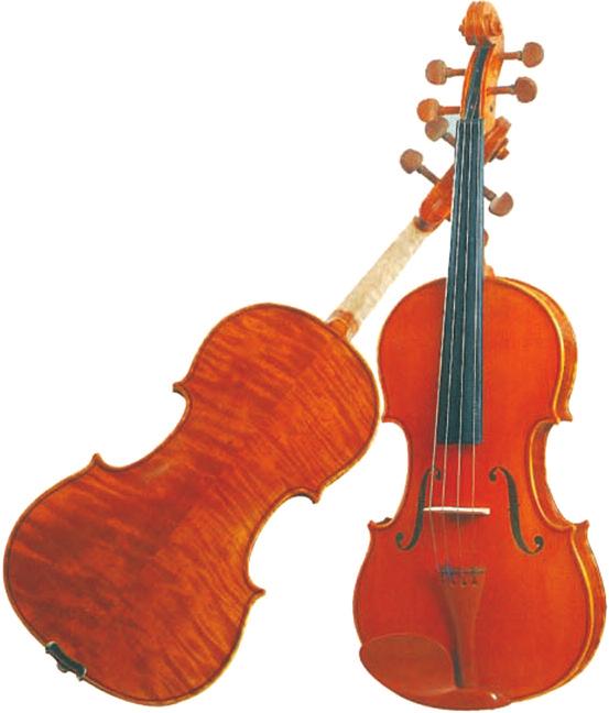 igrometro. -Accessori compresi 1.210,00 E01 Violino Elettrico (4/4) -Struttura in legno massello verniciato.