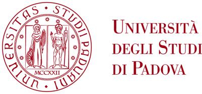 UNIVERSITÀ DEGLI STUDI DI PADOVA aiuto nella identificazione dei corsi a scelta libera o affini; maggior numero di corsi in lingua inglese; allargamento del tutorato al secondo e terzo anno della