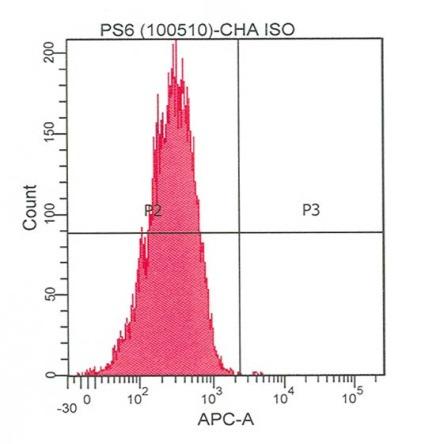 18 Valutazione dei livelli di fosforilazione di S6 tramite western blotting e analisi con il citofluorimetro a) I livelli di fosforilazione di