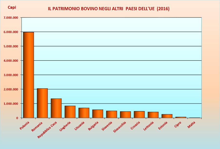 IL PATRIMONIO