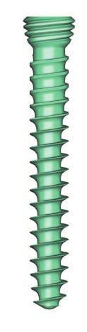 Viti TSLP Design a doppio diametro Autofilettante La testa filettata della vite consente un adattamento perfetto alla forma della placca Il filetto dell osso corticale prossimale combinato con il
