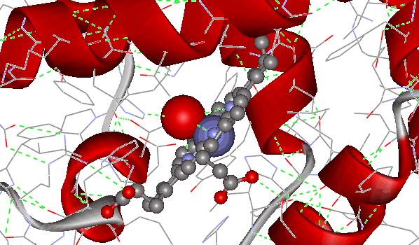 Modificazioni covalenti gruppi prostetici Ponti disolfuro: Sia intracatena che intercatena: in proteine composte da due o più subunità legate da ponti disolfuro.