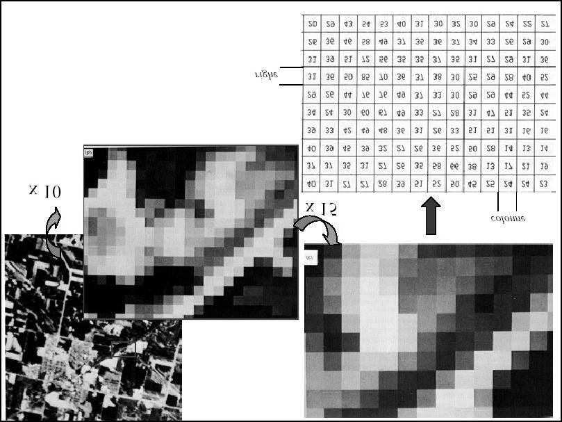 Caratteri i una immagine digitale raster L immagine appare come una