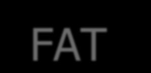 FAT 2 La FAT consente la memorizzazione localizzata