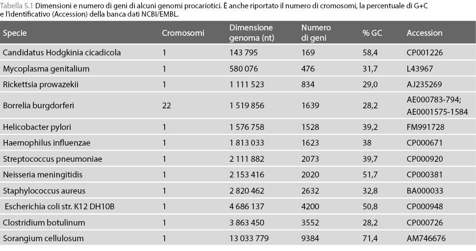 Tabella 5.