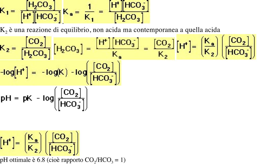 Soluzione tampone bicarbonato nel corpo umano/2 H 3 O + (aq) + HCO 3- ( aq) H 2 CO 3 (aq) + H 2