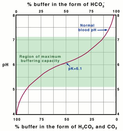 Soluzione tampone bicarbonato nel corpo umano/3 A ph 7,4 siamo al di fuori della max capacità tamponante!!! ma siamo in un sistema aperto per cui è facile avere un rifornimento di CO 2.