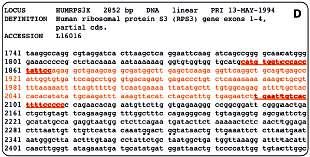 Mappatura mediante siti a sequenza etichettata (Sequence Tagged Sites o STS) Le STS, sono brevi segmenti unici di DNA di cui è nota sequenza e posizione sul genoma landmark (pietra miliare) Sono