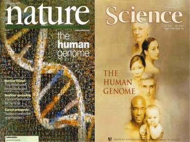 Progetto genoma umano Iniziato nel 1985 Febbraio 2001 Costruzione di una mappa genetica e fisica per il genoma di uomo cdna
