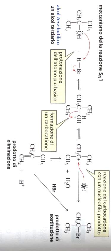 acido perché l OH - non è stabile e non è un buon gruppo uscente; 2) Circa l 80%