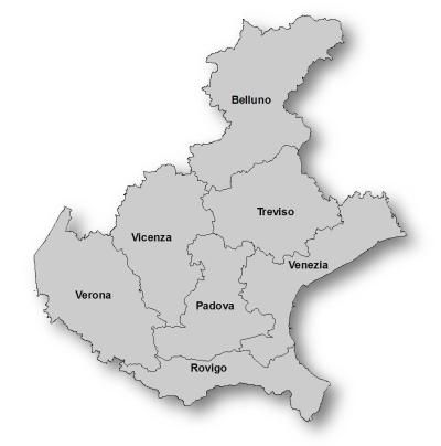 Italia 301.338 superficie territoriale (km2) 18.264 6% Veneto 128.