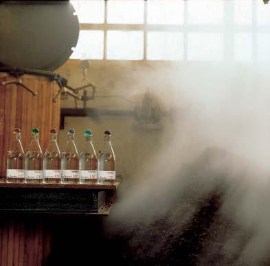 ÙE L ACQUAVITE D UVA L Acquavite d Uva racchiude in sé l eleganza del distillato di vino e il carattere della grappa.
