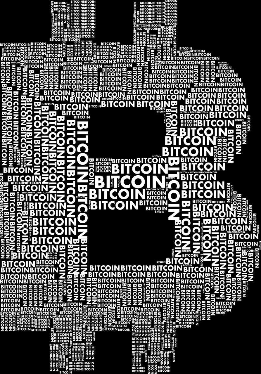 Bitcoin:una