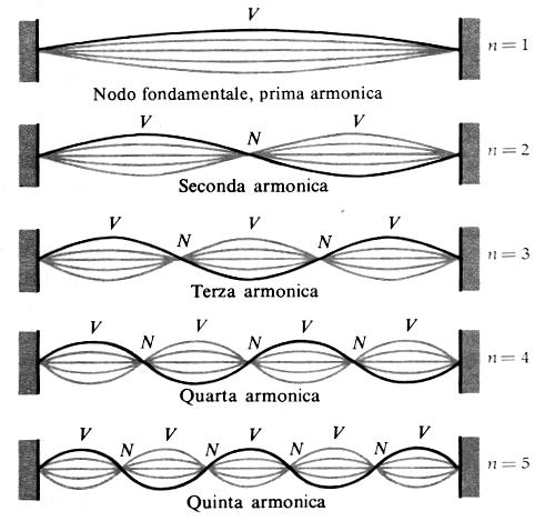 Corda con estremi fissi ν 1 ν ν 3 ν 4 ν 5 Entrambi gli estremi deono essere nodi: λ L = n = n ν ν n = n L n = 1,, Solo alcune frequenze sono possibili: Serie armonica L Onda