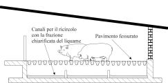 PAVIMENTO TOTALMENTE FESSURATO (PTF) E RICIRCOLO LIQUAMI IN CANALI CON STRATO LIQUIDO PERMANENTE Riduzione: liquame tal quale: 30% liquame aerato: 55% PAVIMENTO TOTALMENTE FESSURATO (PTF) E RICIRCOLO