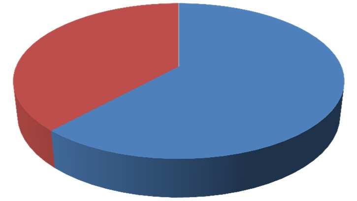 Studenti Candidati negli organi d'ateneo Elezioni 010