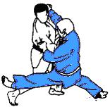 pratica del Karate vengono utilizzate