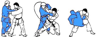 Karate Do fino a cintura nera Pagina 23 di 156 Tai Otoshi Caduta del Corpo Uki Goshi Anca Fluttuante Harai Goshi