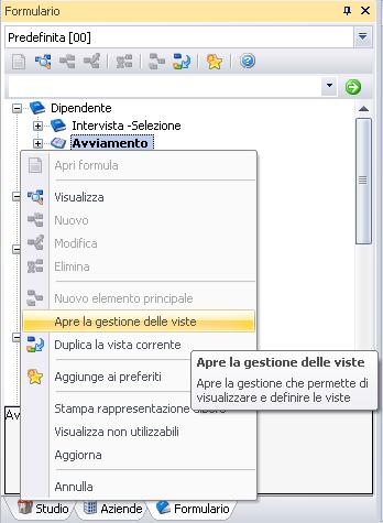 Duplicazione Vista Formulario Il Formulario di Esserci Studio ha una gestione a Viste per consentire la