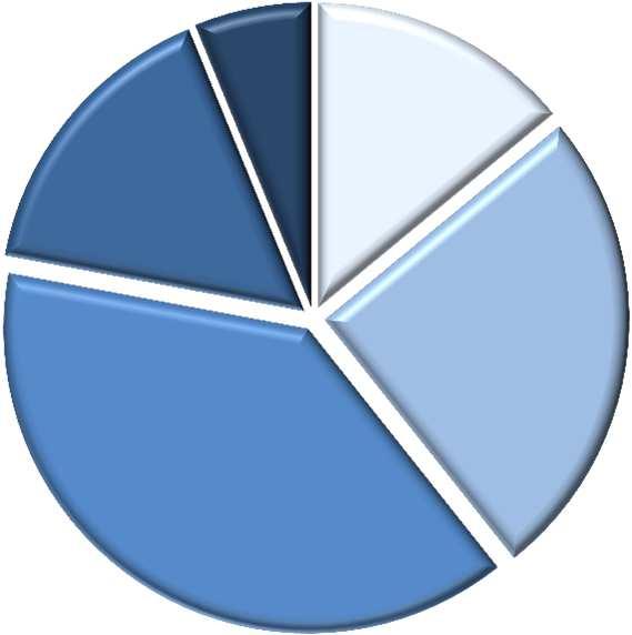 CARATTERISTICHE DEL CAMPIONE 6,2%