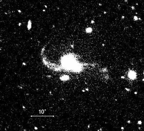 Quasi Stellar Object... I quasar sono corpi così brillanti da sembrare oggetti stellari ordinari.