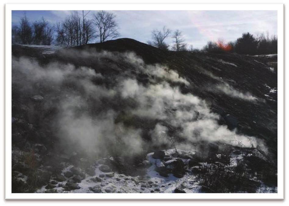 TIPOLOGIA DI INCENDIO Incendio Sotterraneo Gli incendi sotterranei bruciano lentamente le sostanze vegetali sotto il livello del suolo: il muschio, la torba, l humus indecomposto.