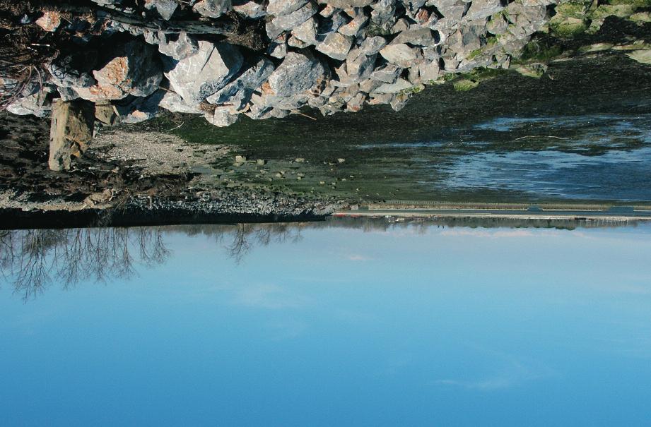 Gruppo Nazionale per la Ricerca sull Ambiente Costiero Friuli-Venezia Giulia localizzati tra le dighe di Porto Buso e di Grado, circa un kilometro di fronte al vecchio cordone litorale (Isole di