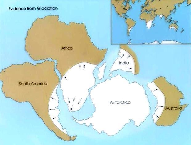 Prove presentate da Wegener a sostegno della sua teoria: PROVE PALEOCLIMATICHE Alla fine del Paleozoico coltri di ghiaccio coprivano vaste aree dell emisfero meridionale.