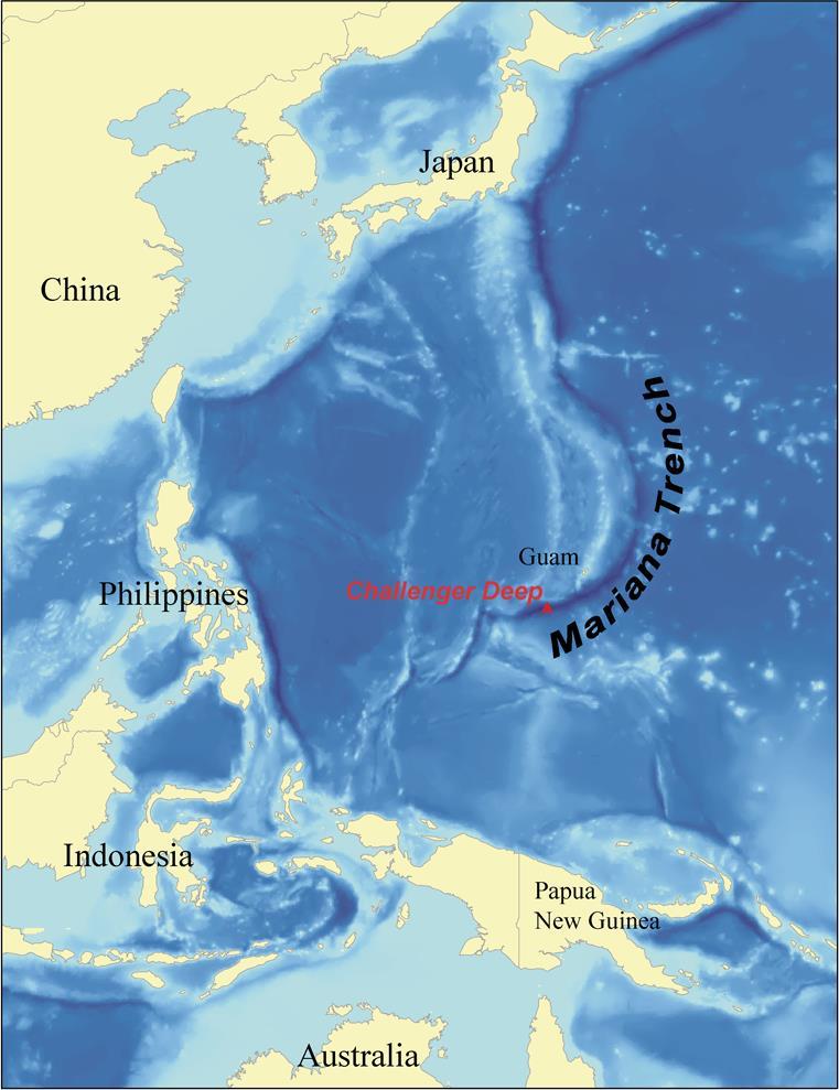 Le FOSSE OCEANICHE sono avvallamenti del fondo lunghi e stretti, spesso