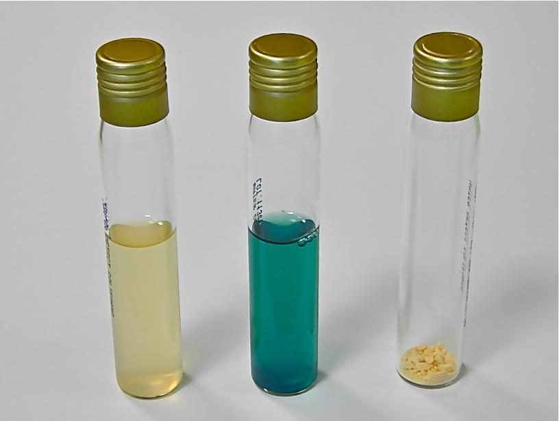Test dell acqua Water Detect COLIFORMS Chromogenic medium for detecting E.