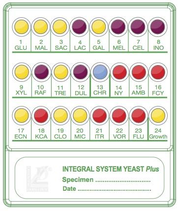 Sistemi per identificazione microbica ed antibiogramma direttamente da campioni clinici A.F.