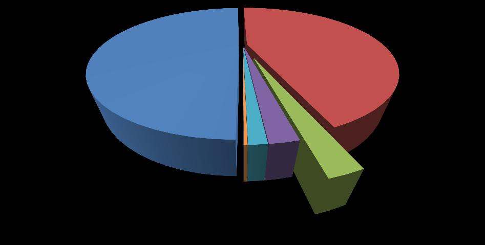 Pag. 8 di 50 totali Nel grafico che segue si esprime la consistenza numerica delle varie tipologie di sorgente luminosa che ricalca la tabella sopra riportata.