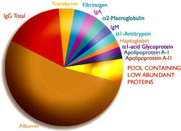 Proteine totali Il laboratorio di biochimica misura le concentrazioni di proteine totali e albumina in un campione di siero.