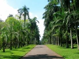 Visita dell area intorno al lago di Kandy, costruita dall ultimo Re Sri Wickrama Rajasinghe nel 1798.