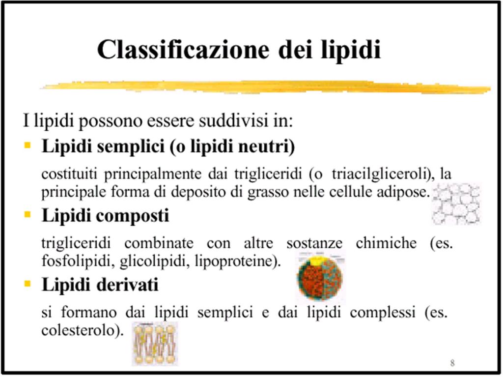 Lipidi semplici (o lipidi neutri) Colesterolo e colesterolo estere Lipidi strutturali