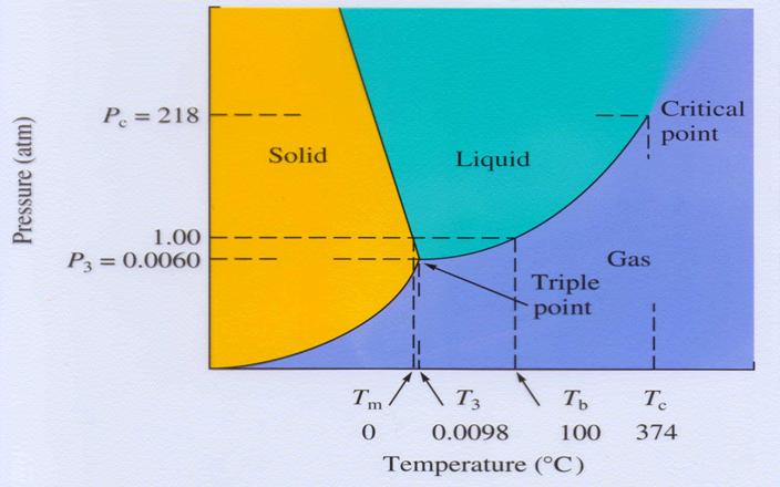 Diagrammi di fase Le linee mostrano dove due fasi coesistono.