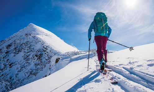 gite sci alpinismo Scialpinismo, ovvero il connubio tra sci vero e proprio e alpinismo, l uso dello sci come mezzo di avvicinamento e ritorno da montagne che potranno essere